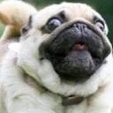 สมาชิกหมายเลข 2984058