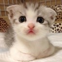 จนกว่าฟ้าจะมีเวลา