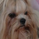 สมาชิกหมายเลข 1345250