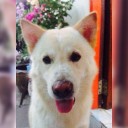 สมาชิกหมายเลข 2184651