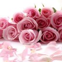 สมาชิกหมายเลข 3430275