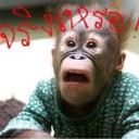 สมาชิกหมายเลข 944301