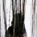 อิอิอิอิอิอิ