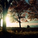 สมาชิกหมายเลข 944766