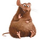 สมาชิกหมายเลข 1597033