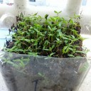 สมาชิกหมายเลข 2580546