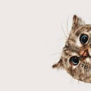 สมาชิกหมายเลข 1150790