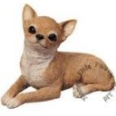 เม่าน้อยเล่าเรื่อง