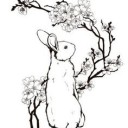 สมาชิกหมายเลข 934260