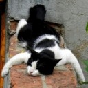 ชื่อนี้ไม่ซ้ำแน่