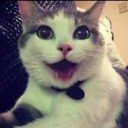 สมาชิกหมายเลข 2185814