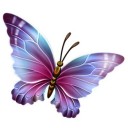 สมาชิกหมายเลข 3197538