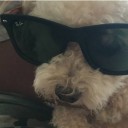 สมาชิกหมายเลข 3437113