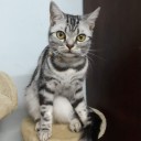 สมาชิกหมายเลข 890812