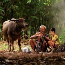 สมาชิกหมายเลข 1697673