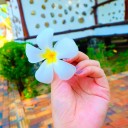 สมาชิกหมายเลข 2581280