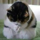 สมาชิกหมายเลข 2581366