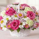 สมาชิกหมายเลข 1231882