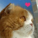 สมาชิกหมายเลข 2975653