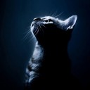 Miracle_wow
