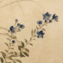 สมาชิกหมายเลข 1118448