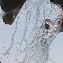 สมาชิกหมายเลข 1348584