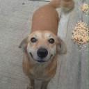 สมาชิกหมายเลข 1744460