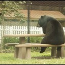 สมาชิกหมายเลข 2229065