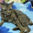 สมาชิกหมายเลข 946609