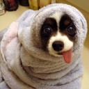 สมาชิกหมายเลข 1754518