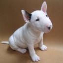 สมาชิกหมายเลข 2582074