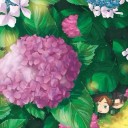 สมาชิกหมายเลข 2987110