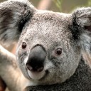 ในท่ามกลางความเป็นไป