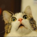 เด็กขายถั่ว