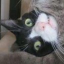 สมาชิกหมายเลข 947072