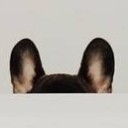 สมาชิกหมายเลข 1368196