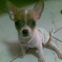 สมาชิกหมายเลข 890144