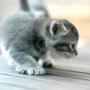 สมาชิกหมายเลข 946109