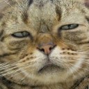 สมาชิกหมายเลข 947453