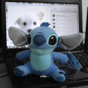 สมาชิกหมายเลข 900342