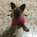 สมาชิกหมายเลข 2983870