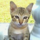 ป้าภูธร