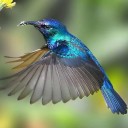 สมาชิกหมายเลข 1039583