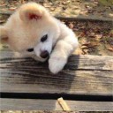 สมาชิกหมายเลข 1487802