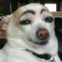 สมาชิกหมายเลข 1776120