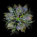 สมาชิกหมายเลข 2582554