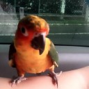 สมาชิกหมายเลข 3081183