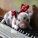 สมาชิกหมายเลข 1776201