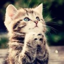 สมาชิกหมายเลข 2187339