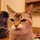 สมาชิกหมายเลข 1090098